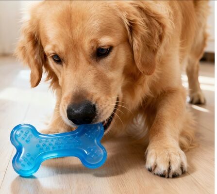 Eco-Friendly TPU Granules, Injection Molding Or Extrusion, Used In Products Such As Pet Toys And Jump Ropes