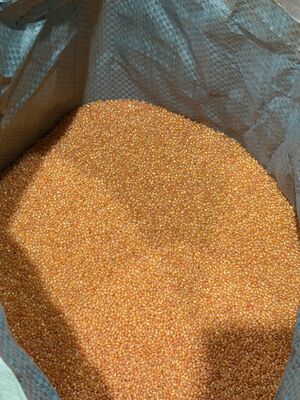 Orange Color-Matched TPU, Color Stable, Process-Friendly, TPU For Sports Gear, Phone Cases